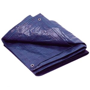 TOLDO RAFIA AZUL 5X8MTRS. BRIXO