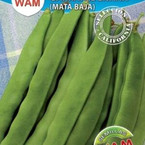 SEMILLA JUDÍAS M/BAJA PLANA 100GRS