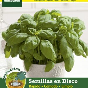 SEMILLA ALBAHACA HOJA ANCHA MASCARELL