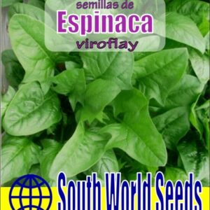 SEMILLA ESPINACA VIROFLAY MASCARELL