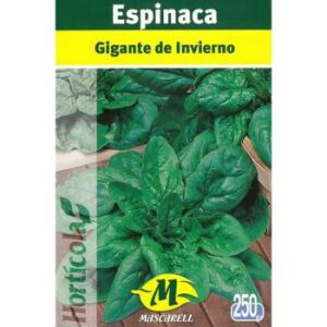 SEMILLA ESPINACA GIG.INVIERNO MASCARELL