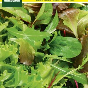SEMILLA LECHUGA 4 ESTAC. MASCARELL