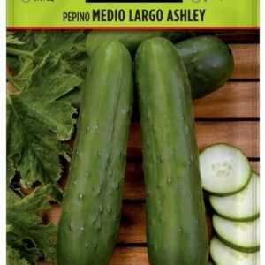 SEMILLA PEPINO MEDIO LARGO ASHLEY