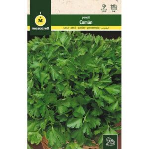 SEMILLA PEREJIL COMÚN MASCARELL