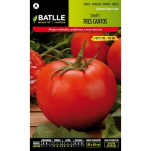 SEMILLA TOMATE INTERMEDIO TRES CANTOS